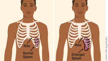 KidsHealth Image