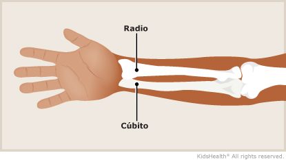 KidsHealth Image